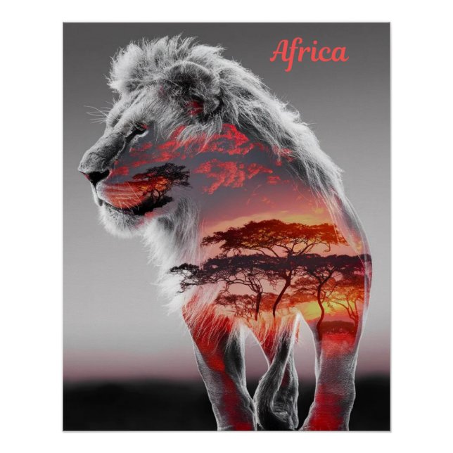 Afrika - Eine Illustration eines Löwen Poster (Vorderseite)