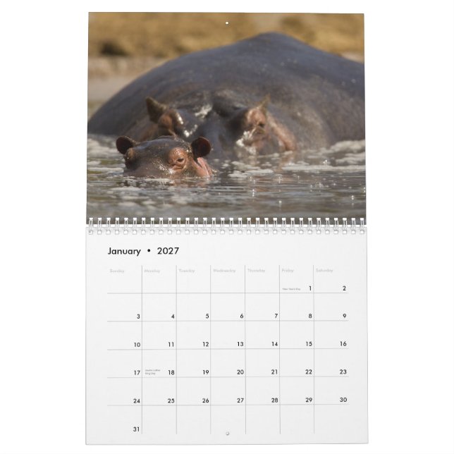 Afrika-Kalender 2015 durch McDonald-wild lebende Kalender (Jan 2027)