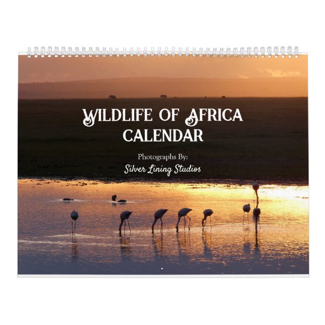 Afrika-Kalender Kalender (Titelbild)