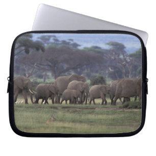 Afrika, Kenia, Amboseli-Nationalpark. Afrikanisch Laptopschutzhülle