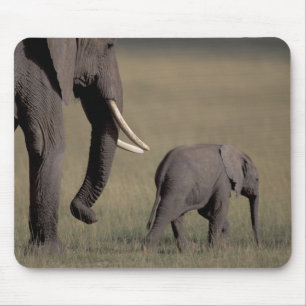 Afrika, Kenia, Amboseli-Nationalpark. Afrikanisch Mousepad