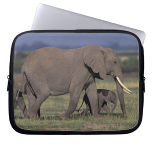 Afrika, Kenia, Amboseli-Nationalpark. Afrikanische Laptopschutzhülle