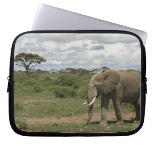 Afrika, Kenia, Amboseli-Nationalpark, Elefant, Laptopschutzhülle