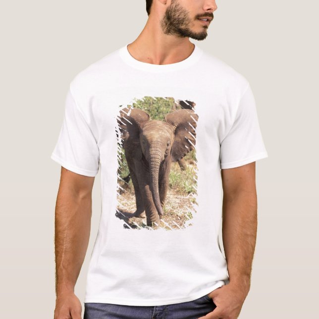 Afrika, Kenia, der Amboseli-Nationalpark. Afrika 2 T-Shirt (Vorderseite)