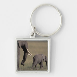 Afrika, Kenia, der Amboseli-Nationalpark. afrikani Schlüsselanhänger
