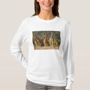 Afrika. Kenia. Herde Netz-Giraffen T-Shirt