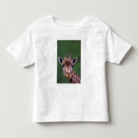 Afrika, Kenia, Impala Ranch. retikanimiert