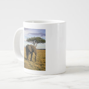 Afrika, Kenia, Maasai Mara. Ein Elefant in der Jumbo-Tasse