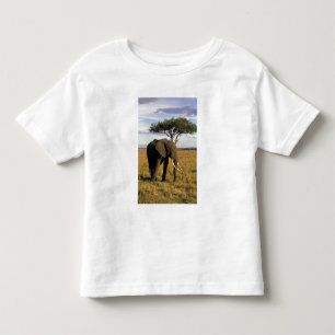 Afrika, Kenia, Maasai Mara. Ein Elefant in der Kleinkind T-shirt