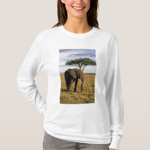 Afrika, Kenia, Maasai Mara. Ein Elefant in der T-Shirt