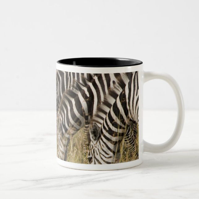Afrika, Kenia, Maasai Mara Zweifarbige Tasse (Rechts)