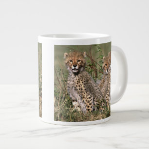 Afrika; Kenia; Masai Mara; Drei Gepardenjunge Jumbo-Tasse
