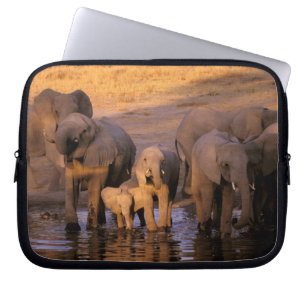 Afrika, Kenia, Masai Mara. Elefanten (Loxodonta Laptopschutzhülle