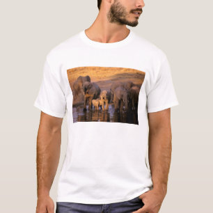 Afrika, Kenia, Masai Mara. Elefanten (Loxodonta T-Shirt