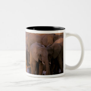 Afrika, Kenia, Masai Mara. Elefanten (Loxodonta Zweifarbige Tasse
