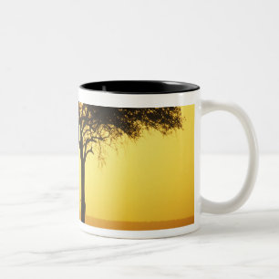 Afrika, Kenia, Masai Mara Game Reserve, Aufstieg Zweifarbige Tasse