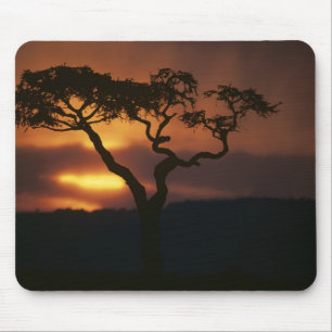 Afrika, Kenia, Masai Mara Game Reserve, Szene Mousepad