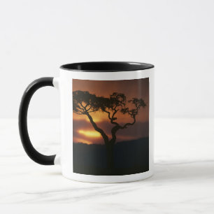 Afrika, Kenia, Masai Mara Game Reserve, Szene Tasse