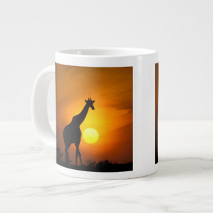 Afrika, Kenia, Masai Mara. Giraffe (Giraffa Jumbo-Tasse
