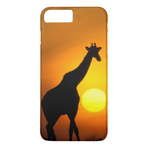 Afrika, Kenia, Masai Mara. Giraffe (Giraffe) iPhone 8 Plus/7 Plus Hülle