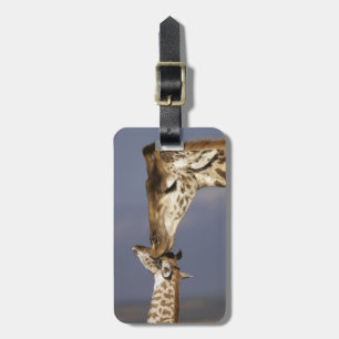 Afrika, Kenia, Masai Mara. Giraffen (Giraffe Gepäckanhänger