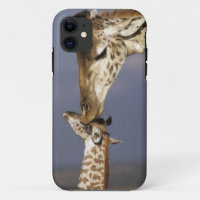 Afrika, Kenia, Masai Mara. Giraffen (Giraffen)