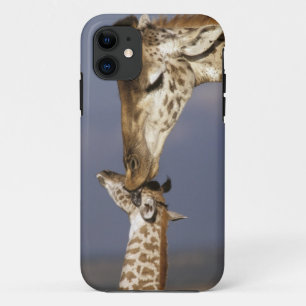 Afrika, Kenia, Masai Mara. Giraffen (Giraffen) title_seo2