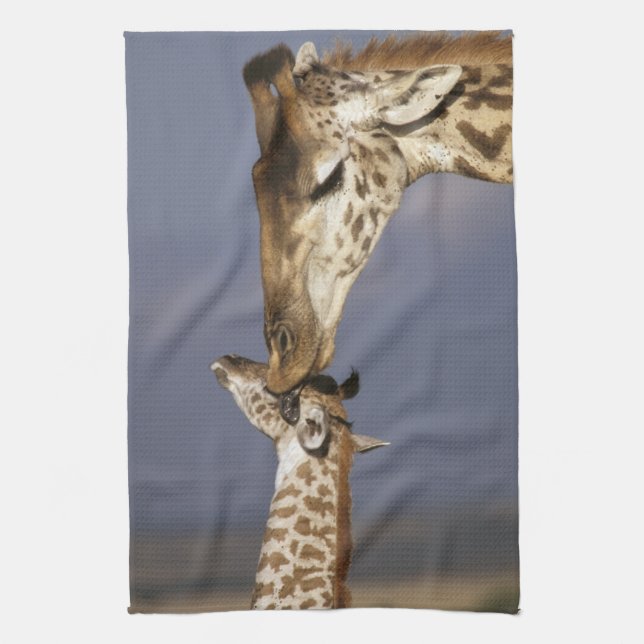 Afrika, Kenia, Masai Mara. Giraffen (Giraffen) Handtuch (Vertikal)