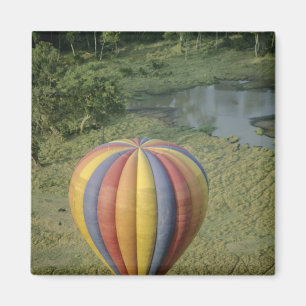 Afrika, Kenia, Masai Mara National Preserve, 3 Magnet