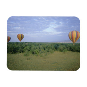 Afrika, Kenia, Masai Mara National Reserve, 2 Magnet
