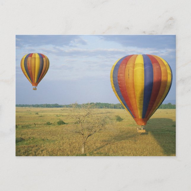 Afrika, Kenia, Masai Mara National Reserve, Postkarte (Vorderseite)