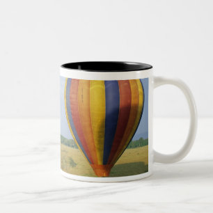 Afrika, Kenia, Masai Mara National Reserve, Zweifarbige Tasse