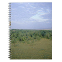 Afrika, Kenia, Masai Mara Nationalpark, 2
