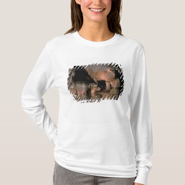 Afrika, Kenia, Masai Mara. Nilpferde T-Shirt (Vorderseite)