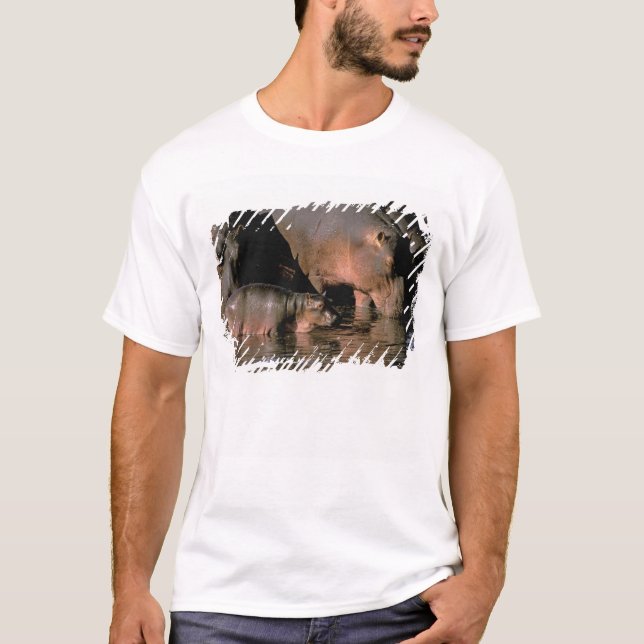 Afrika, Kenia, Masai Mara. Nilpferde T-Shirt (Vorderseite)