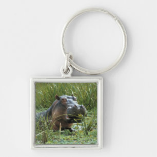 Afrika, Kenia, Masai Mara NR. Eine Mutter Nilpferd Schlüsselanhänger
