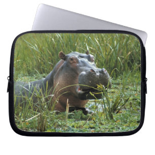 Afrika, Kenia, Masai Mara NR. Eine Nilpferdmutter Laptopschutzhülle