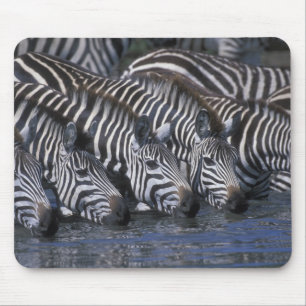 Afrika, Kenia, Masai Mara-Wildreservat, Ebenen Mousepad