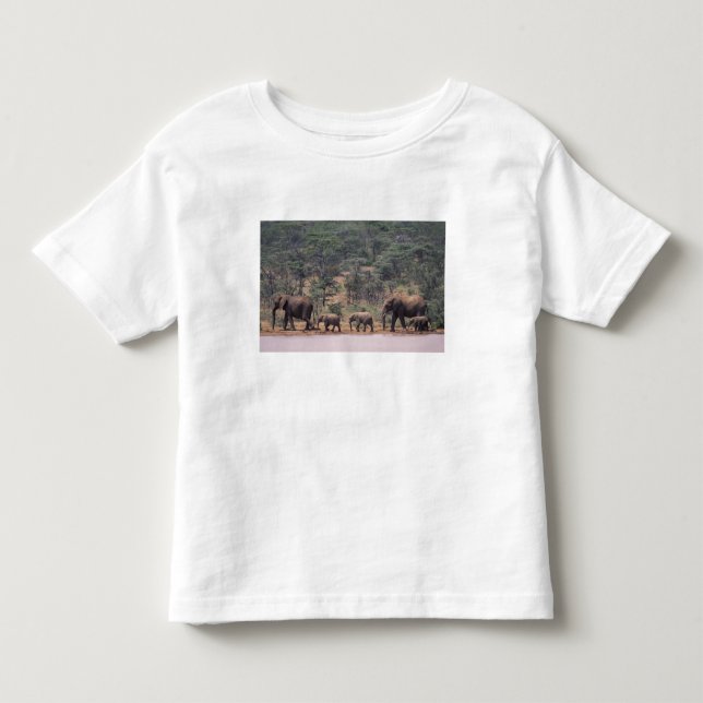 Afrika, Kenia, Nanyuki, Mpala. afrikanisch Kleinkind T-shirt (Vorderseite)