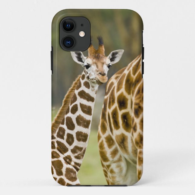 Afrika. Kenia. Rothschild-Giraffe-Baby Case-Mate iPhone Hülle (Rückseite)