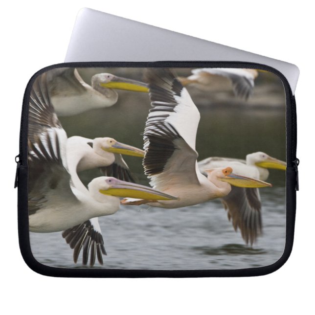 Afrika. Kenia. Weiße Pelikane fliegen am See Laptopschutzhülle (Vorderseite)