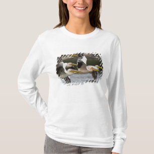 Afrika. Kenia. Weiße Pelikane fliegen am See T-Shirt