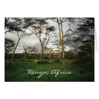 Afrika Kenia Wildland