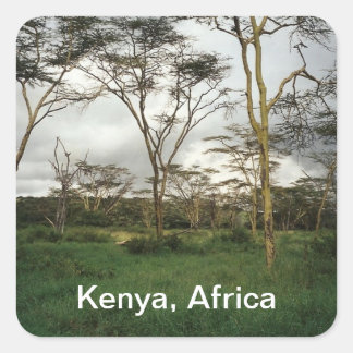 Afrika - Kenia-Wildland Quadratischer Aufkleber