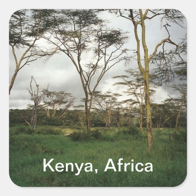 Afrika - Kenia-Wildland Quadratischer Aufkleber (Vorderseite)