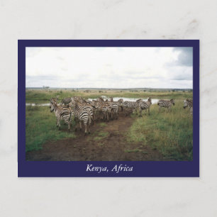 Afrika - Kenia - Wildtiere Postkarte