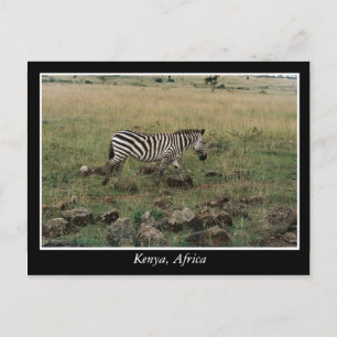 Afrika Kenia Wildtiere Postkarte