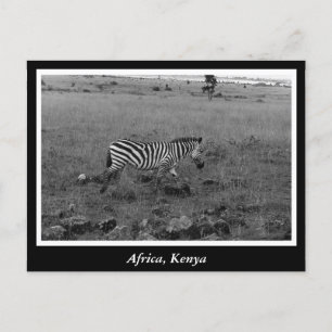Afrika Kenia Wildtiere Postkarte