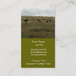 Afrika - Kenia - Wildtiere Visitenkarte