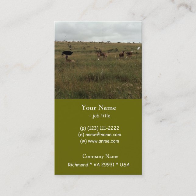 Afrika - Kenia - Wildtiere Visitenkarte (Vorderseite)